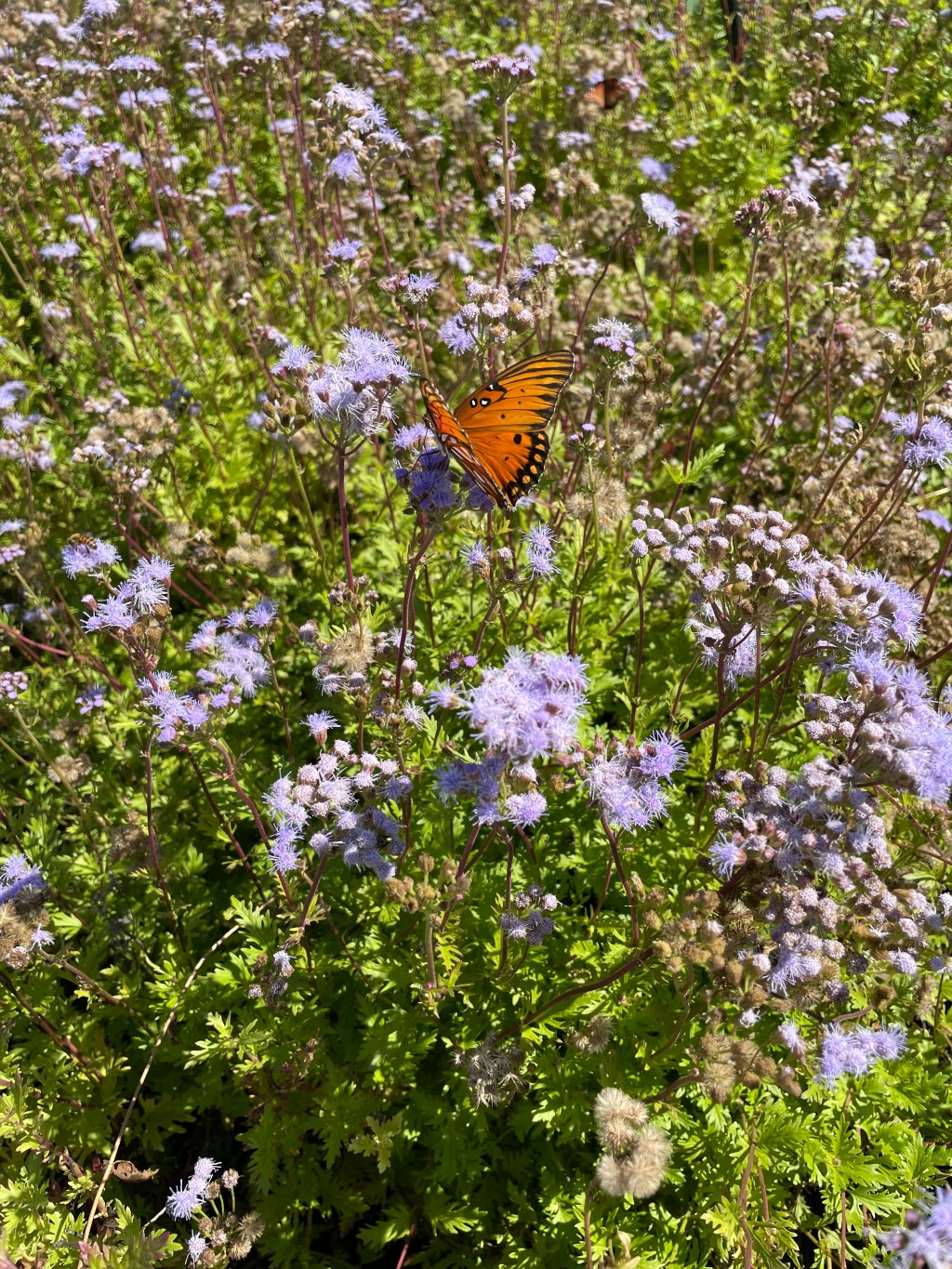 Relationships & Parenthood